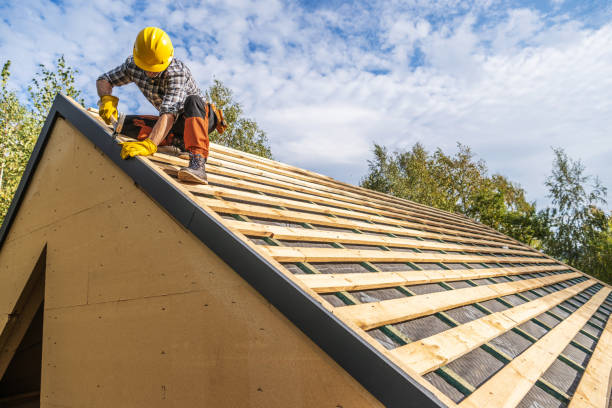 Best Metal Roofing Contractor  in Apison, TN