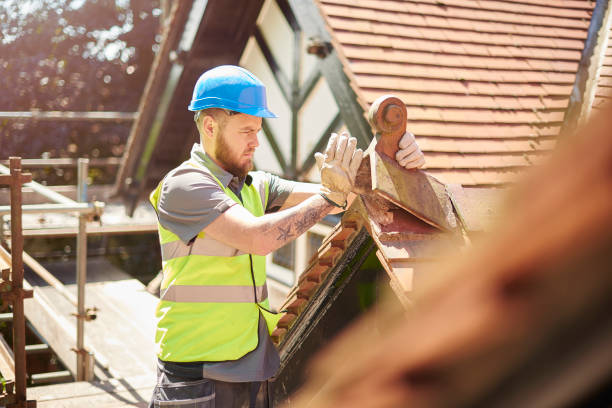 Best Roof Gutter Cleaning  in Apison, TN